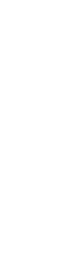 inputwand logo