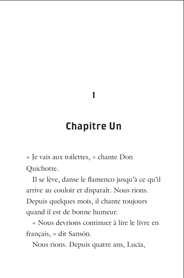 Ebook: Quichotte et Moi: Et Le Camaquen de la Huaca, Book One in the Novice High "Camaquen" Trilogy
