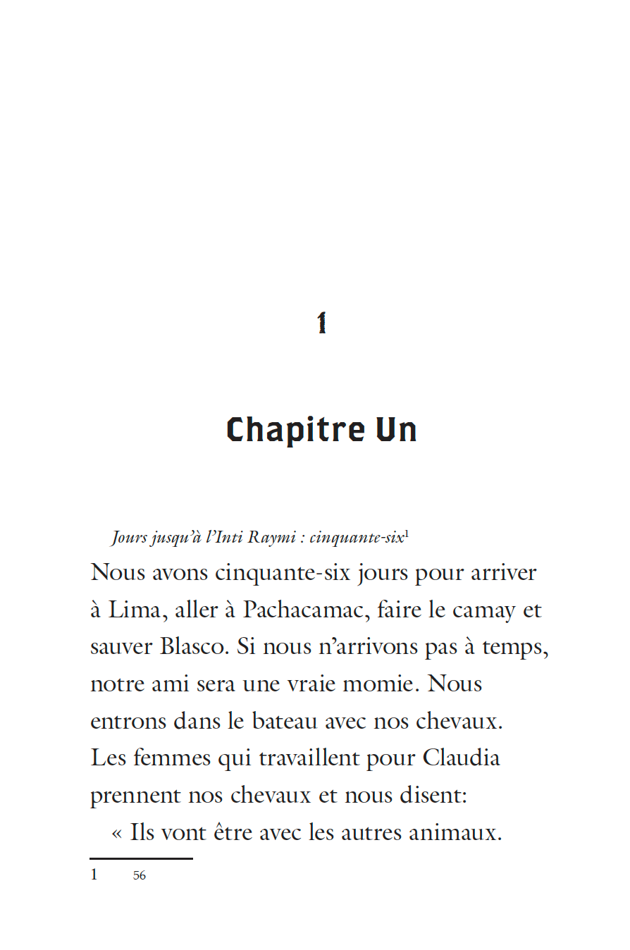 Ebook: Quichotte et Moi: Et Le Camaquen de la Momie, Book Two in the Novice High "Camaquen" Trilogy