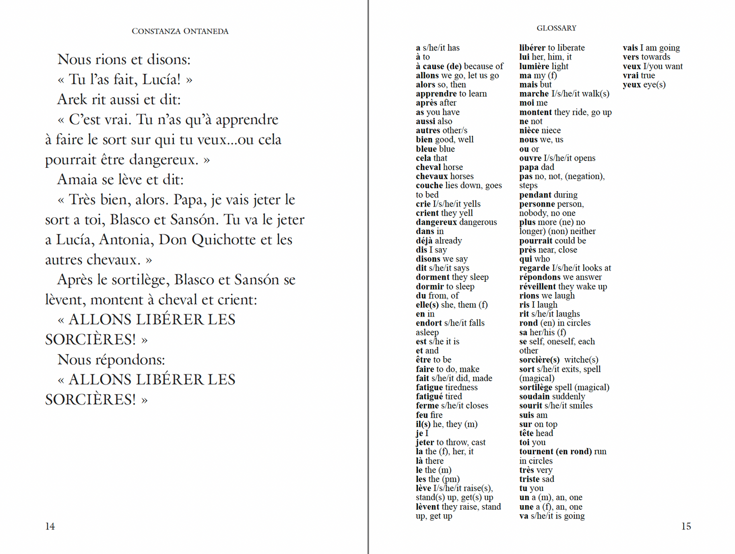 Paperback: Quichotte et Moi: Et La Sorcière d'Euskadi, Book Three in the Novice Mid "Sorcières" Trilogy