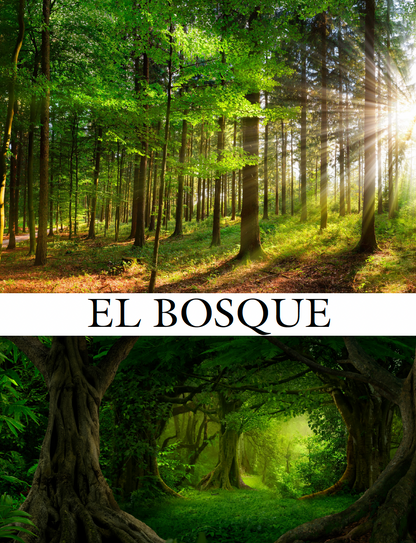 Communication Guide: Quijote y Yo: Somos Amigas, Book Four in the Novice Low "Aventuras" Septology