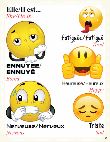 Communication Guide: Quichotte et Moi: Sommes Tristes, Book Two in the Novice Low "Aventures" Septology