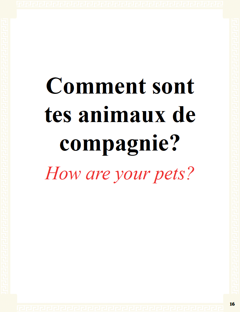 Communication Guide: Quichotte et Moi: Sommes Amis, Book Four in the Novice Low "Aventures" Septology