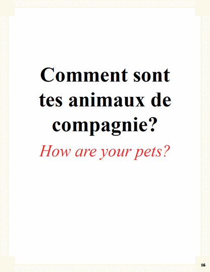Communication Guide: Quichotte et Moi: Sommes Amis, Book Four in the Novice Low "Aventures" Septology