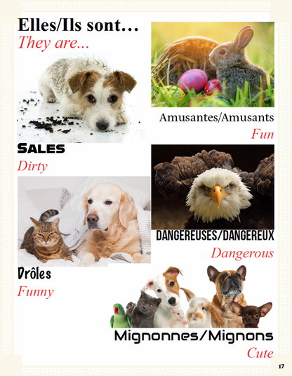 Communication Guide: Quichotte et Moi: Sommes Amis, Book Four in the Novice Low "Aventures" Septology
