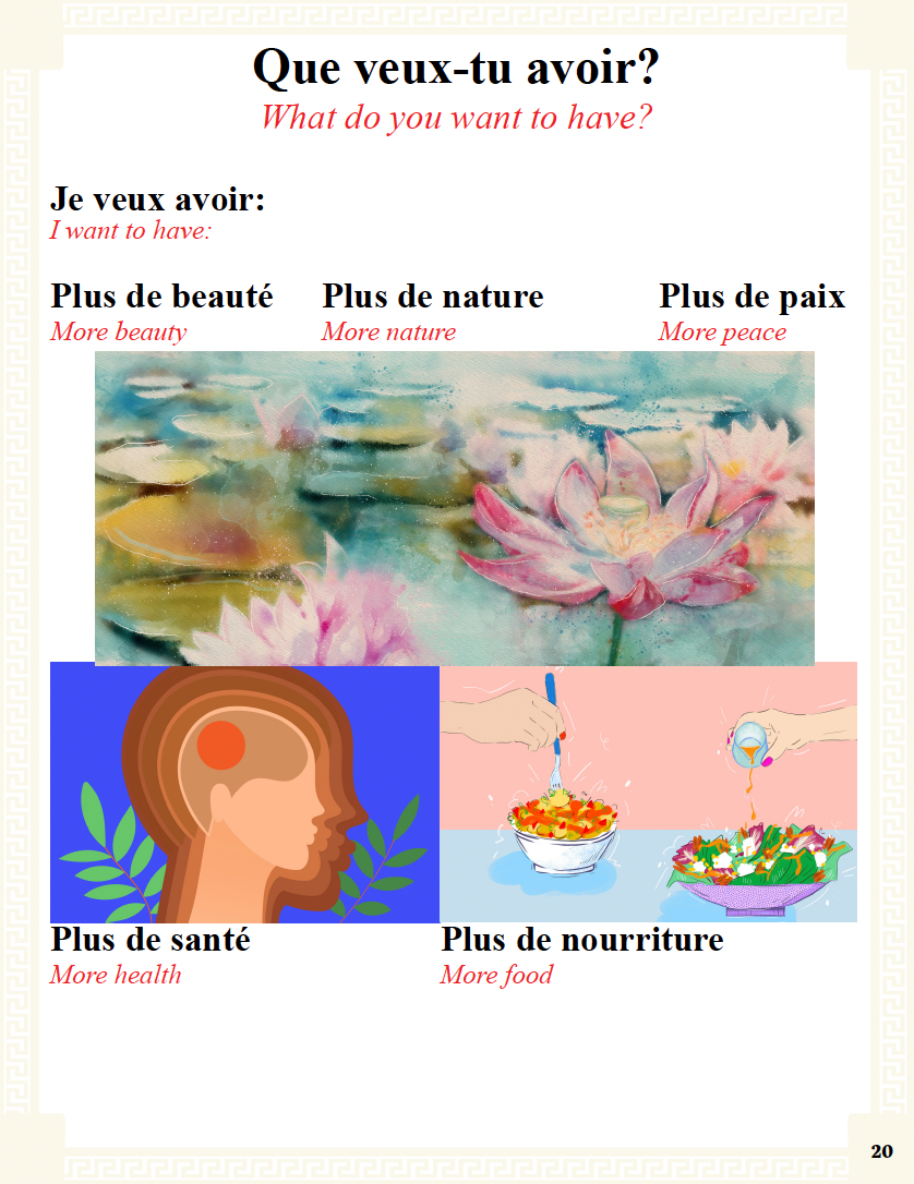 Communication Guide: Quichotte et Moi: Sommes Amis, Book Four in the Novice Low "Aventures" Septology