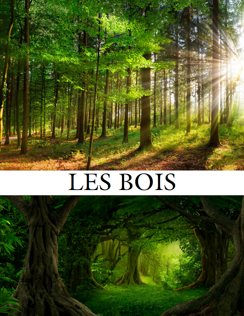 Communication Guide: Quichotte et Moi: Sommes Amis, Book Four in the Novice Low "Aventures" Septology