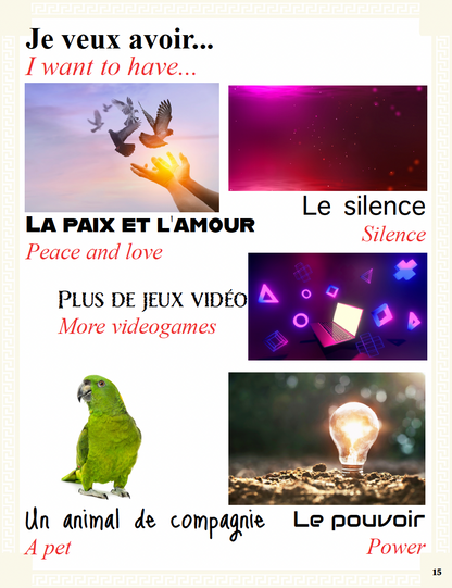 Communication Guide: Quichotte et Moi: Avons Beaucoup de Problèmes, Book Six in the Novice Low "Aventures" Septology