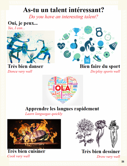 Communication Guide: Quichotte et Moi: Avons Beaucoup de Problèmes, Book Six in the Novice Low "Aventures" Septology
