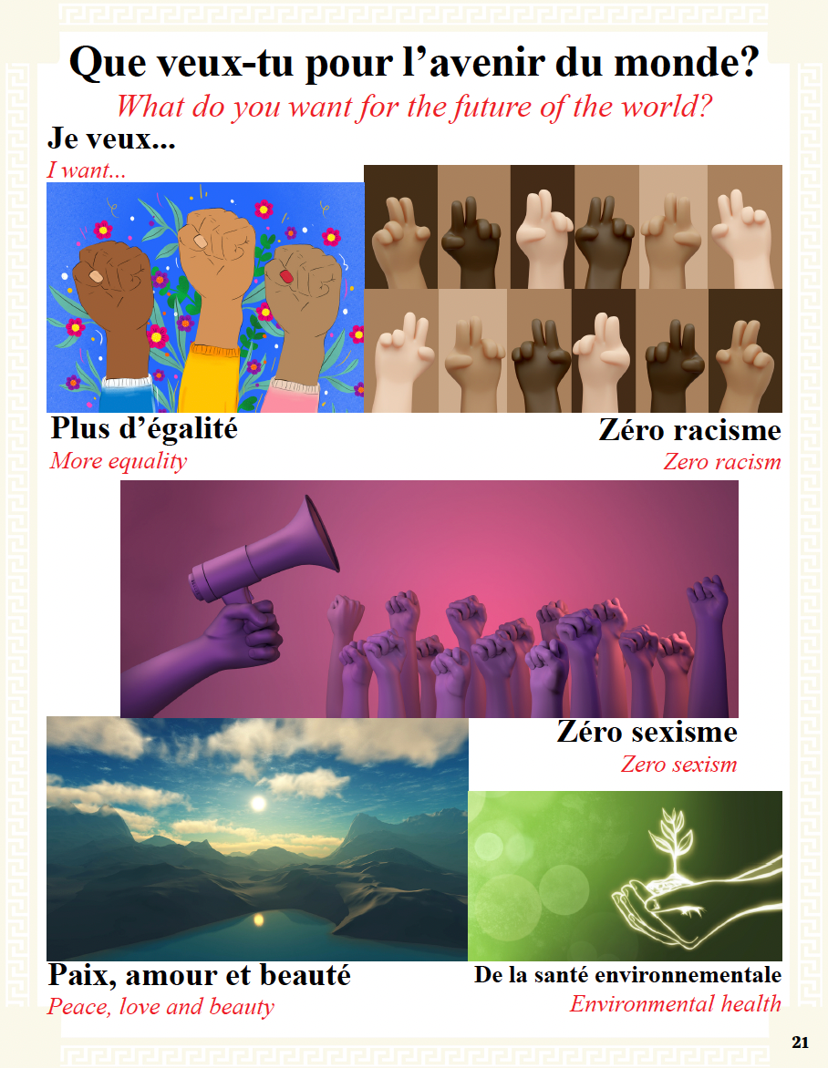 Communication Guide: Quichotte et Moi: Voulons Beaucoup de Choses, Book Seven in the Novice Low "Aventures" Septology